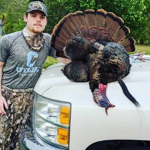 Meet your Posher, Sidney